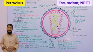 Retrovirus  Retrovirus class 11 [upl. by Deeann61]