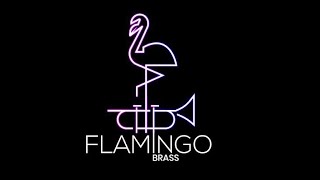 Flamingo Brass Star Spangled Banner [upl. by Ytirev]