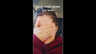 mold moldillness CIRS blackmold toxicmold aspergilluspenicillium chaetomium stachybotrys [upl. by Launamme31]