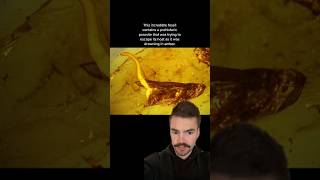 The CRAZIEST prehistoric animals found frozen in amber artifacts [upl. by Esylle]