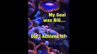 My Goal was BIG… Did I Achieve It [upl. by Posner]