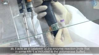 PCR Master Mix preparation and RTPCR [upl. by Aleacem]