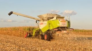 Loonwerken De Bruyne  Claas Lexion 600 TerraTrac  mais dorsen [upl. by Frymire656]