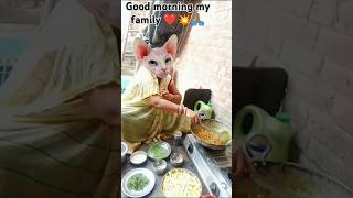 Lalalalala Lori doodh ki katori katori me batasa billa kare tamasa 🍲 funny 🤓 cat🐈🐈 [upl. by Wetzel]