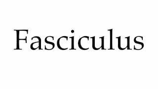 How to Pronounce Fasciculus [upl. by Anawal]