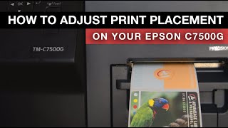 How to Adjust Print Placement on Epson C7500G Label Printer [upl. by Ladnyc]