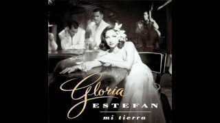 mi buen amor gloria estefan [upl. by Reniti346]