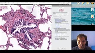 Histology of the Respiratory System part 2 [upl. by Hilly]