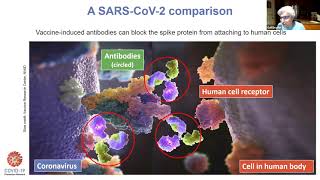 Understanding Broadly Neutralizing Antibodies [upl. by Aihsoem]