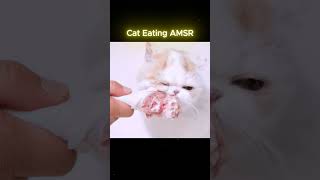 Cat Eating ASMR cats cat youtubeshorts viralvideo cateating asmreating [upl. by Akeem107]