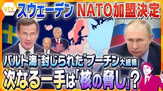 【タカオカ解説】実は軍事大国のスウェーデンがNATO加盟 バルト海を“封じられた”プーチン大統領が期待するのは「トランプ氏の再選」⁉ [upl. by Akkinahs240]