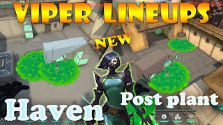 Top 15 New Haven Viper Post Plant Lineups  Viper Lineups Haven  Viper Guide Haven [upl. by Lakym516]