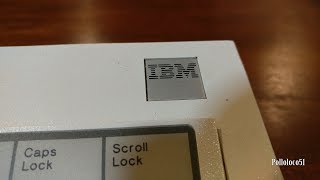 IBM Model M 1390131 Keyboard  First Look [upl. by Ym]