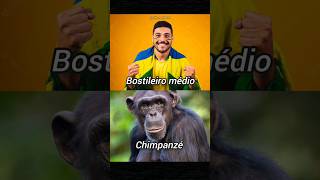 Brasileiro médio vs Chimpanzé versus memebr qi83 memes humorbrasil piada zueirabrasileira [upl. by Einnaffit473]