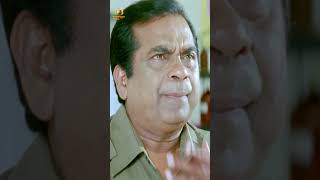 కుక్కను చంపడానికి బ్రహ్మి స్కెచ్  Ramachari Movie  Venu  Brahmanandam  Kamalinee Mukherjee [upl. by Ahtamat]