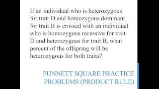 Punnett square practice problems product rule [upl. by Yde]