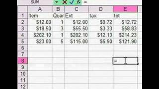 Excel Spread Sheet Basics  Using a Formula [upl. by Jolda]