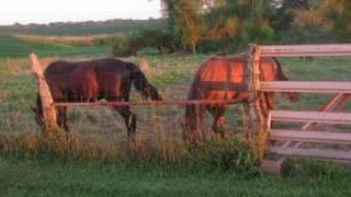 Wild Horses by Mazzy Star [upl. by Rednas557]