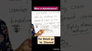 What is Hybridizationhybridization cropproductionandmanagement scienceclass8thncert202324 [upl. by Hamid937]