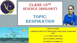 RespirationClass 10thBiology respiration biology science biologytopics biology10thcbse [upl. by Yenahpets640]