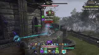 Eso  Elder scroll online  Magicka Warden Pvp  Magden Frost staff SampB  No CP [upl. by Sulihpoeht]