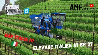 FS 22  On récolte du raisin blanc   lélevage italien EP07 map italia farming simulator 22 [upl. by Wira93]