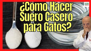 🐱 ¿CÓMO DAR Y HACER UN SUERO CASERO ORAL PARA GATOS DESHIDRATADOS 🐱 [upl. by Kristin557]