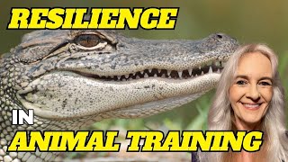 An Exploration Of Resilience In Animal Training [upl. by Rowney405]