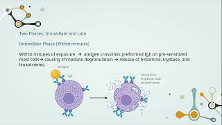 Hypersensitivity  Chapter 1 Introduction and Type 1 Hypersensitivity Reaction [upl. by Amirak]