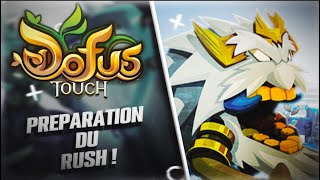 DOFUS TOUCH  On prépare le rush du nouveau serveur [upl. by Miki689]