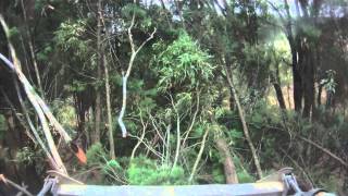 Tree MulchingInside the Cab of Tobiah Tree Mulching Services FAE PT 400 MOV [upl. by Nnitsuj326]