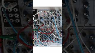 BuchlAnalord stazma synth eurorack [upl. by Pani]