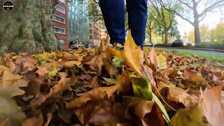 Walking Through Autumn Leaves [upl. by Aiehtela]