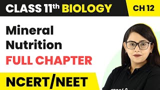 Mineral Nutrition  Full Chapter Explanation  Class 11 Biology Chapter 12  NCERTNEET [upl. by Hayman]