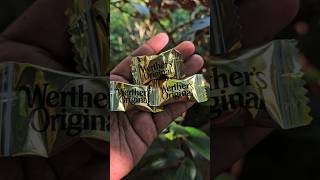 Werthers original candy [upl. by Isyak20]