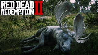 LEGENDARY MOOSE LOCATION  Red Dead Redemption 2 [upl. by Faletti945]