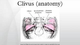 Clivus anatomy [upl. by Allebara123]