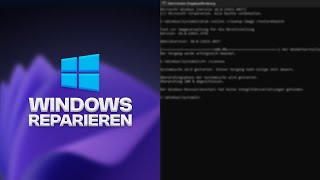 Windows 1011 reparieren in 5 Minuten [upl. by Naujit]