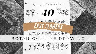 Botanical line drawing tutorial for beginners  how to draw flowers [upl. by Brie]