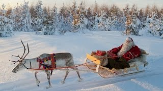 Rentierschlittenfahrt des Weihnachtsmannes Lappland Finnland Rovaniemi Reisevideo Santa Claus [upl. by Lounge]