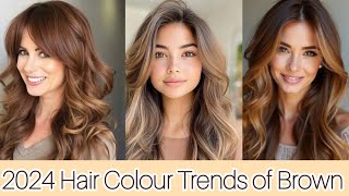 New Brown hair colour trends 2024  Sandy Brown HairColour highlights stylesforall 2024haircolor [upl. by Nolyaj]