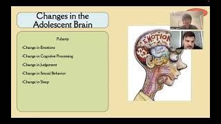 Adolescent Brain Development [upl. by Tartan]