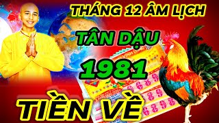 LUẬN GIẢI TỬ VI THÁNG 12 ÂM LỊCH  TÂN DẬU 1981 PHẬT ĐỘ  PHÁT TÀI CỰC MẠNH  ĐỔI ĐỜI CỰC GIÀU [upl. by Askwith]