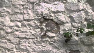 Plastic masonry paint  how it destroys walls [upl. by Gretel]