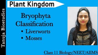 Plant Kingdom  Classification of Bryophyta  Liverworts  Mosses  Class 11 BiologyNEETAIIMS [upl. by Ledda]