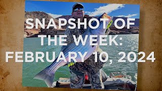 Snapshot of the Week February 10 2024 [upl. by Ordnasil422]