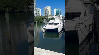 Luxury Catamaran Yacht in Florida yacht florida [upl. by Akinak]