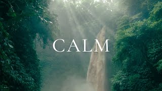 Relaxing Music for Stress Relief Calm Study  Beautiful Nature amp Water Sounds [upl. by Eveiveneg]