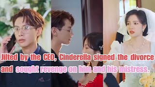 Jilted by the CEO Cinderella signed the divorce and sought revenge on him and his mistress [upl. by Enirahtac]