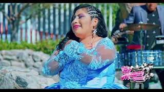 Dulce Mayumi  Deja de Fingir  Primicia 2024  Requinto Peruano [upl. by Yesnnyl]